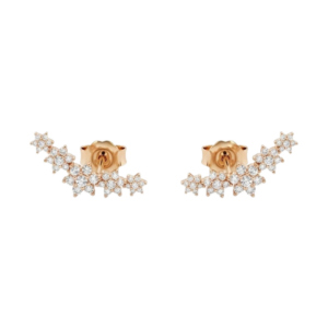 Arete 5 Flores