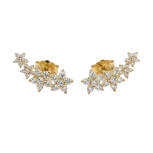 Arete 4 Flores
